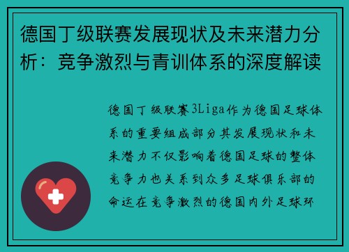 德国丁级联赛发展现状及未来潜力分析：竞争激烈与青训体系的深度解读